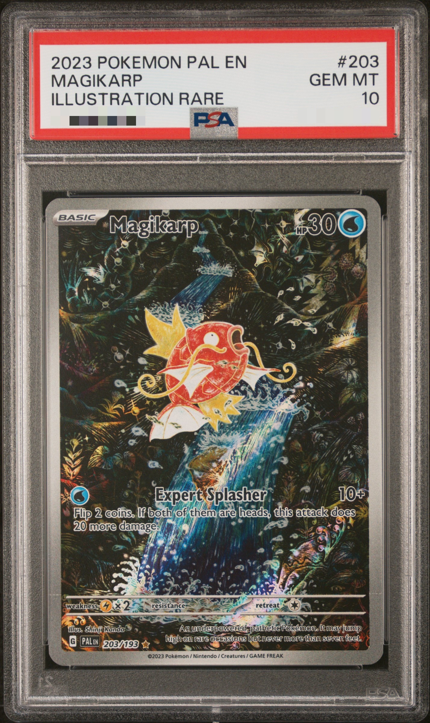 Image of MAGIKARP